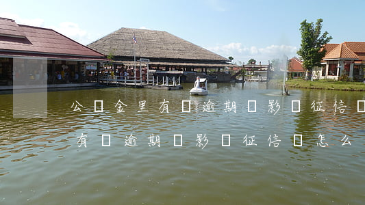 公積金里有個逾期會影響征信嗎-公積金里有個逾期會影響征信嗎怎么辦