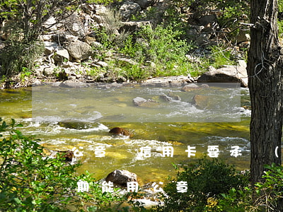 公章辦信用卡要承擔(dān)嗎（信用卡逾期能用公章嗎）