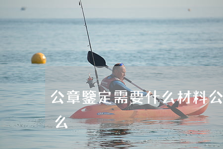 公章鑒定需要什么材料（公章的鑒定程序是什么）