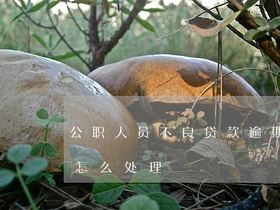 公职人员不良贷款逾期(公职人员有逾期贷款怎么处理)