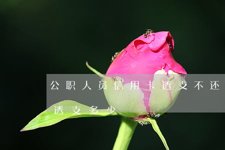 公职人员信用卡透支不还(公务员信用卡可以透支多少)