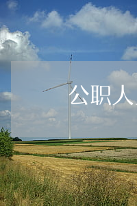 公职人员欠网贷的钱(公职人员欠网贷不还)