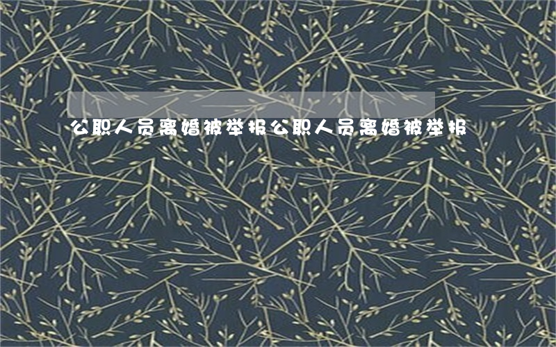 公职人员离婚被举报(公职人员离婚被举报)