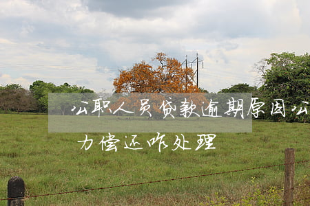 公职人员贷款逾期原因(公职人员贷款逾期无力偿还咋处理)