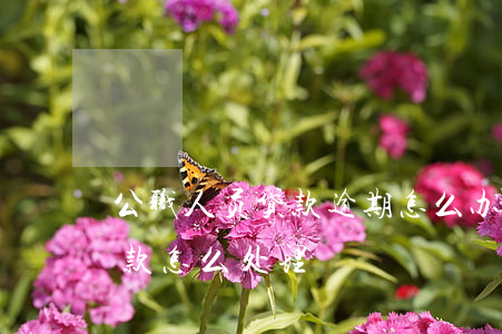 公职人员贷款逾期怎么办(公职人员有逾期贷款怎么处理)