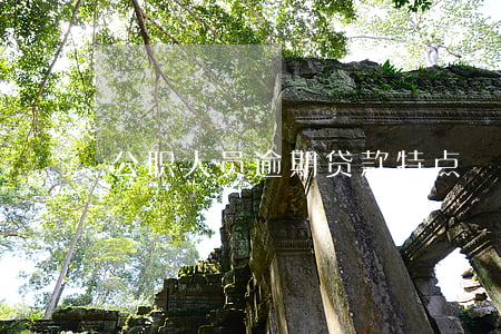 公职人员逾期贷款特点