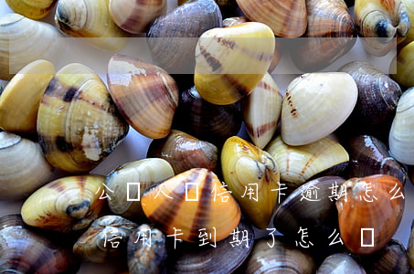公職人員信用卡逾期怎么辦(公務(wù)卡信用卡到期了怎么辦)