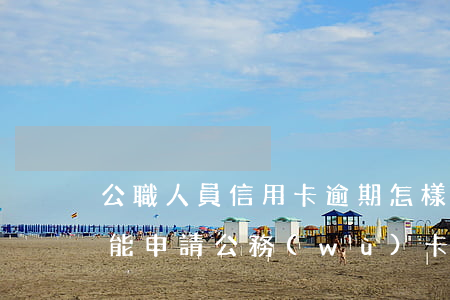 公職人員信用卡逾期怎樣處理(信用卡逾期還能申請公務(wù)卡嗎)