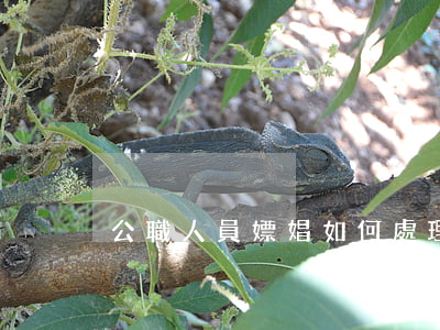 公職人員嫖娼如何處理