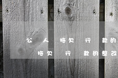 公職人員拖欠銀行貸款的整改措施-公職人員拖欠銀行貸款的整改措施怎么寫