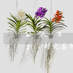 公職人員有權(quán)繼承農(nóng)村宅基地嗎(公職人員能不能繼承農(nóng)村宅基地)