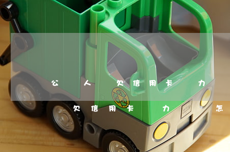 公職人員欠信用卡無力償還怎么辦-公職人員欠信用卡無力償還怎么辦呢