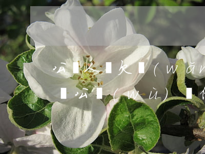 公職人員欠網(wǎng)貸不還會被開除嗎(公務(wù)員借網(wǎng)貸會被停職)