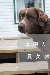 公職人員欠銀行貸款還不上怎么辦-公職人員欠銀行貸款還不上怎么辦呢