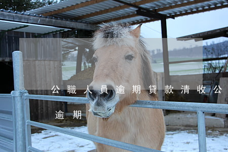 公職人員逾期貸款清收(公務(wù)員貸款逾期)