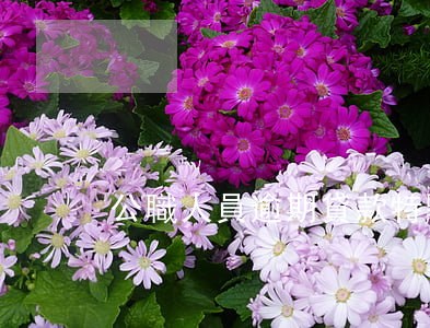 公職人員逾期貸款特點(diǎn)