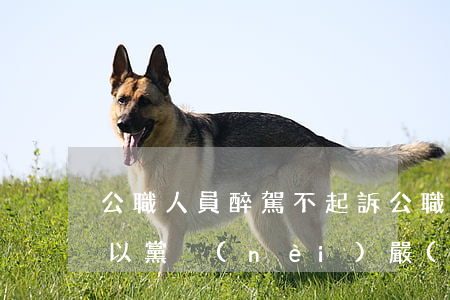 公職人員醉駕不起訴(公職人員醉駕不起訴可以黨內(nèi)嚴(yán)重警告處分嗎)