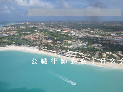 公職律師到底干什么(公職律師什么意思)
