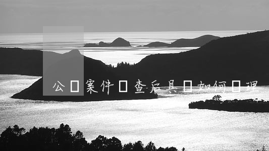 公訴案件審查后具體如何處理
