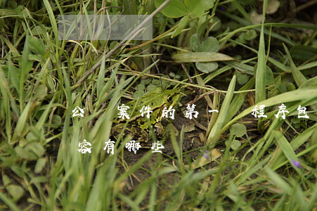 公訴案件的第一審程序包括的內(nèi)容有哪些