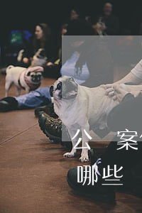 公訴案件被害人的訴訟權(quán)利有哪些