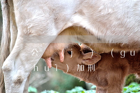 公訴機(jī)關(guān)要抗訴會(huì)加刑嗎
