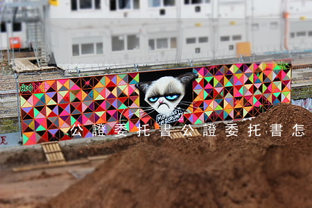 公證委托書(公證委托書怎么收費)