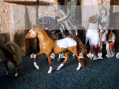 公證委托書在哪里辦理(委托公證書在哪里開?)