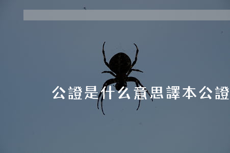 公證是什么意思(譯本公證是什么意思)