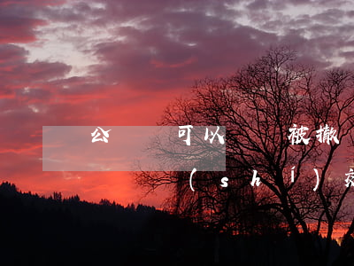 公證書可以訴訟被撤銷嗎(起訴撤銷公證書的訴訟時(shí)效)