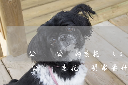 公證處公證的委托書(shū)在哪里辦理(公證處委托證明需要什么手續(xù))