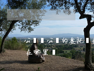 公證處公證的委托書在哪里辦理(委托公證書在哪里開?)