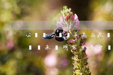 公證處公證繼承怎么收費(fèi)(公證處開繼承證明需要多少錢)