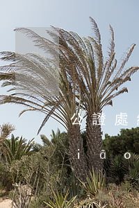 公證處繼承存款怎么收費(fèi)標(biāo)準(zhǔn)(銀行存款繼承公證怎么收費(fèi))