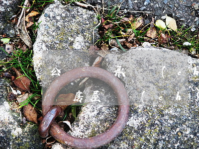 公證處繼承遺產(chǎn)需要什么(公證處 房屋遺產(chǎn)繼承)