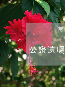 公證遺囑用多少錢(公證一份遺囑要多少錢)
