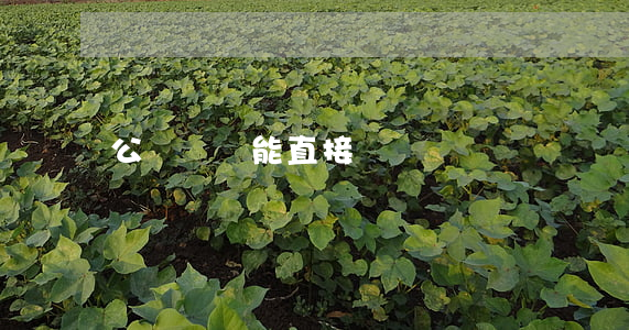 公證遺囑能直接過戶嗎