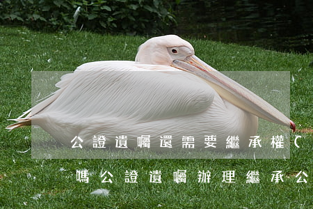 公證遺囑還需要繼承權(quán)公證書嗎(公證遺囑辦理繼承公證還需要繼承人都在嗎)