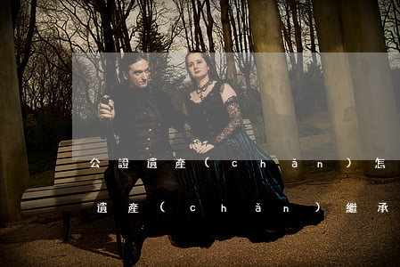 公證遺產(chǎn)怎么繼承(公證處辦理遺產(chǎn)繼承公證)
