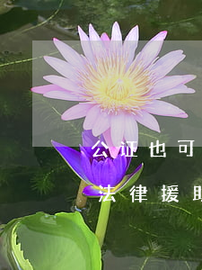 公证也可以申请法律援助吗(司法局可以申请法律援助吗)