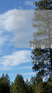 公证后的房屋法院可以查封吗(公证有法律效力吗 房屋)