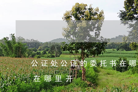 公证处公证的委托书在哪里办理(委托公证书在哪里开?)