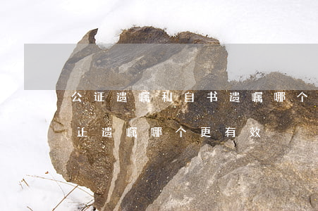 公证遗嘱和自书遗嘱哪个优先(自书遗嘱与公正遗嘱哪个更有效?)