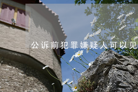 公诉前犯罪嫌疑人可以见家属吗
