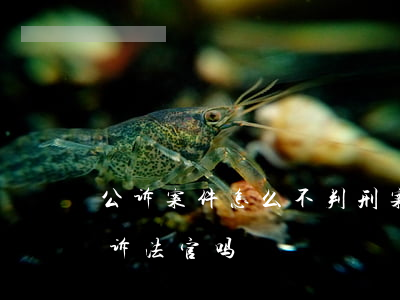 公诉案件怎么不判刑(案件审判不公,能直接起诉法官吗?)