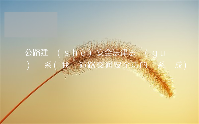 公路建設(shè)安全法律法規(guī)體系(我國道路交通安全法的體系組成)