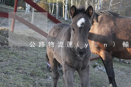 公路物流運(yùn)輸合同范本
