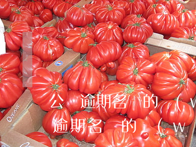 公開逾期名單的網(wǎng)貸平臺(公開逾期名單的網(wǎng)貸平臺)