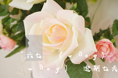 六七個網(wǎng)貸逾期了怎么辦(網(wǎng)貸逾期七天會怎么樣)