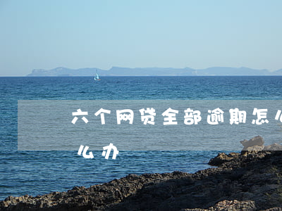 六个网贷全部逾期怎么办(十几个网贷逾期怎么办)
